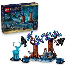 LEGO Harry Potter 76475 La...