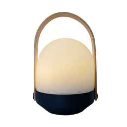 Baladeuse sans fil -...