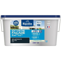 Peinture extreme façade 2...