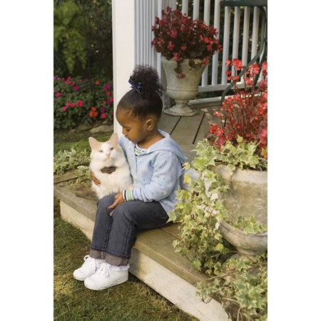 PetSafe - Clôture Anti-Fugue Deluxe avec Collier spécial Chat - Étanche - 4 Niveaux d