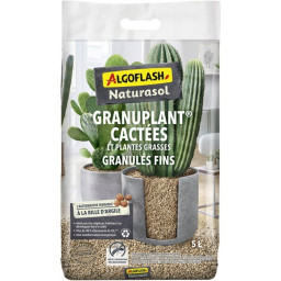 Granuplant cactées et...