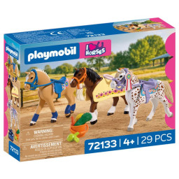 PLAYMOBIL 72133 Collection...