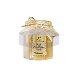 Miel eucalyptus 250g