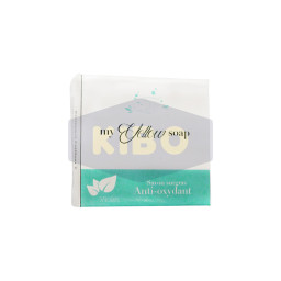 Savon anti-oxydant 57g