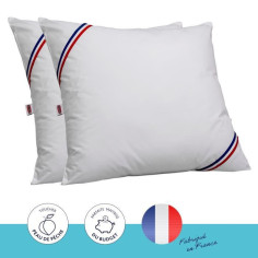 DODO Lot de 2 oreillers Tendance - 60 x 60 cm - Garnissage 100% Polyester fibre creus